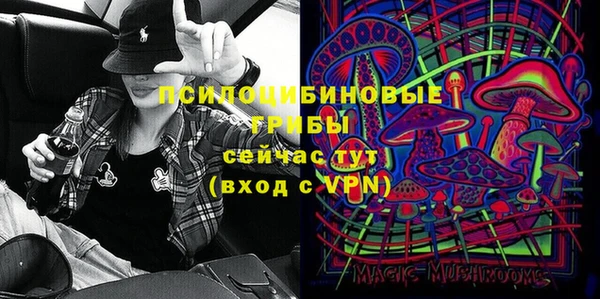 метадон Елизово