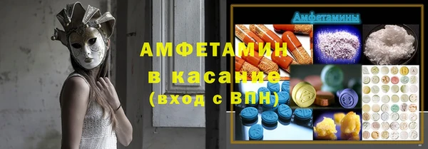 МДПВ Ельня
