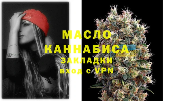 МДПВ Ельня