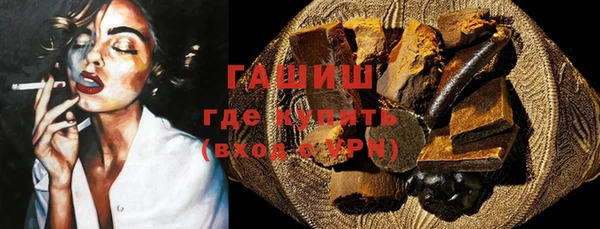 МДПВ Ельня