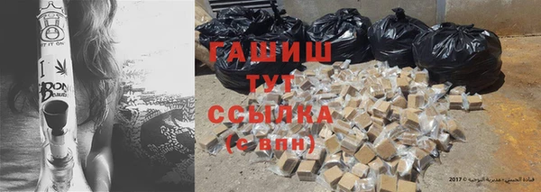 МДПВ Ельня