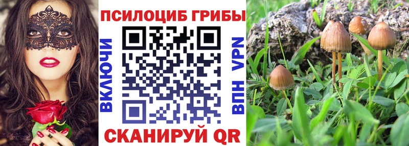 Псилоцибиновые грибы мицелий  где купить наркотик  Лысьва 